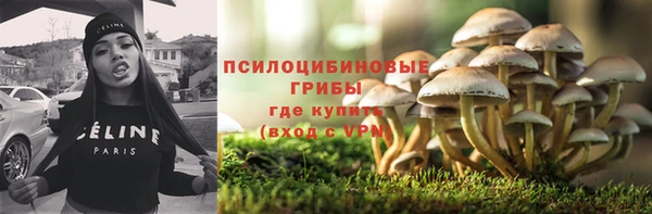 дмт Алзамай