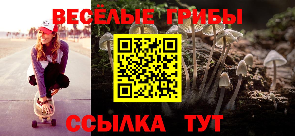 Галлюциногенные грибы Cubensis Советская Гавань